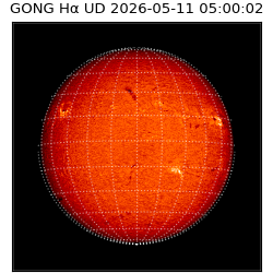 gong - 2026-05-11T05:00:02