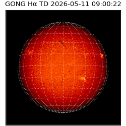 gong - 2026-05-11T09:00:22