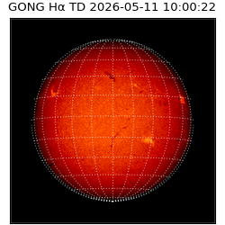 gong - 2026-05-11T10:00:22