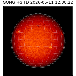 gong - 2026-05-11T12:00:22