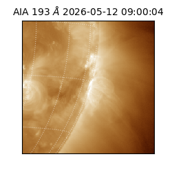 saia - 2026-05-12T09:00:04.842000