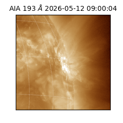 saia - 2026-05-12T09:00:04.842000