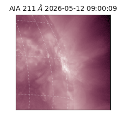 saia - 2026-05-12T09:00:09.624000