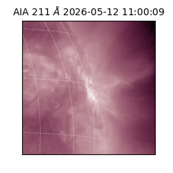saia - 2026-05-12T11:00:09.623000