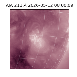 saia - 2026-05-12T08:00:09.624000