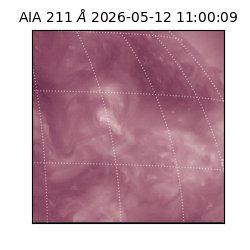 saia - 2026-05-12T11:00:09.623000
