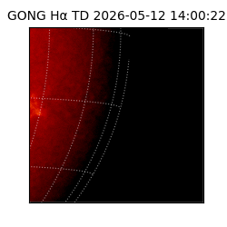 gong - 2026-05-12T14:00:22