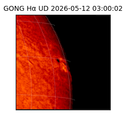 gong - 2026-05-12T03:00:02