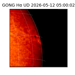 gong - 2026-05-12T05:00:02