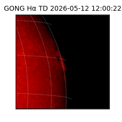 gong - 2026-05-12T12:00:22