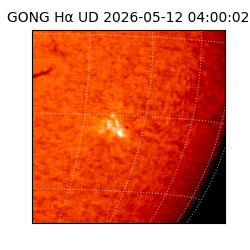 gong - 2026-05-12T04:00:02