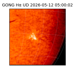 gong - 2026-05-12T05:00:02