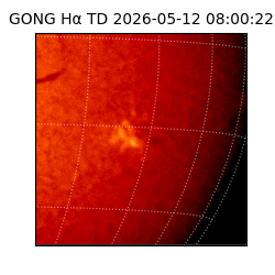 gong - 2026-05-12T08:00:22