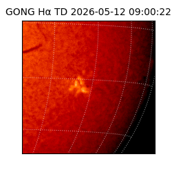 gong - 2026-05-12T09:00:22