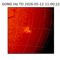 gong - 2026-05-12T11:00:22