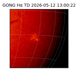 gong - 2026-05-12T13:00:22