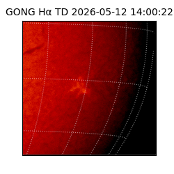 gong - 2026-05-12T14:00:22
