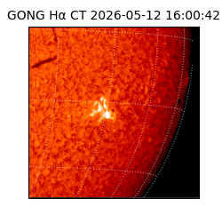 gong - 2026-05-12T16:00:42