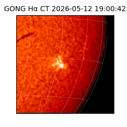 gong - 2026-05-12T19:00:42