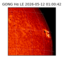 gong - 2026-05-12T01:00:42