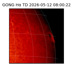gong - 2026-05-12T08:00:22