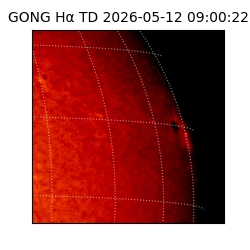 gong - 2026-05-12T09:00:22