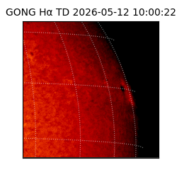 gong - 2026-05-12T10:00:22
