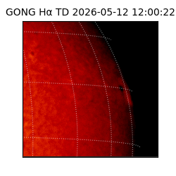 gong - 2026-05-12T12:00:22