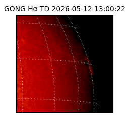 gong - 2026-05-12T13:00:22