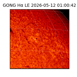 gong - 2026-05-12T01:00:42