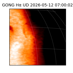 gong - 2026-05-12T07:00:02