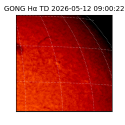 gong - 2026-05-12T09:00:22