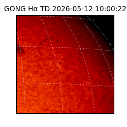gong - 2026-05-12T10:00:22