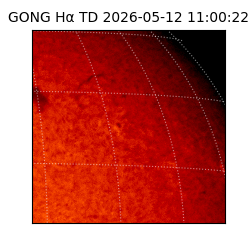 gong - 2026-05-12T11:00:22