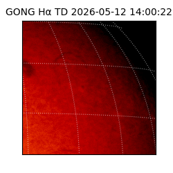 gong - 2026-05-12T14:00:22