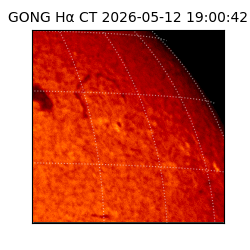 gong - 2026-05-12T19:00:42