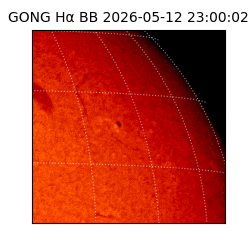 gong - 2026-05-12T23:00:02