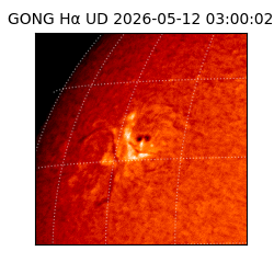 gong - 2026-05-12T03:00:02