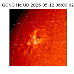 gong - 2026-05-12T06:00:02