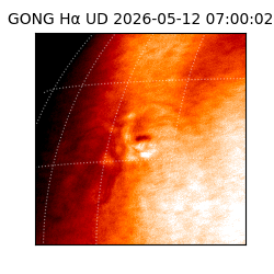 gong - 2026-05-12T07:00:02