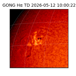 gong - 2026-05-12T10:00:22