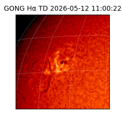 gong - 2026-05-12T11:00:22
