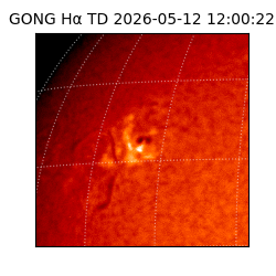gong - 2026-05-12T12:00:22