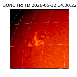 gong - 2026-05-12T14:00:22