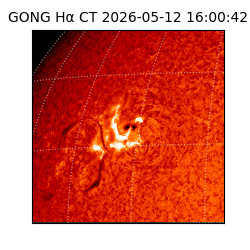 gong - 2026-05-12T16:00:42
