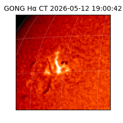 gong - 2026-05-12T19:00:42
