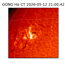 gong - 2026-05-12T21:00:42