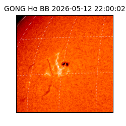 gong - 2026-05-12T22:00:02
