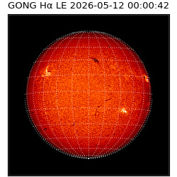 gong - 2026-05-12T00:00:42