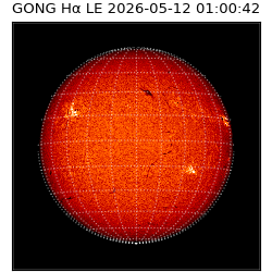 gong - 2026-05-12T01:00:42